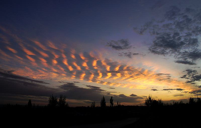 DSC07384A.jpg