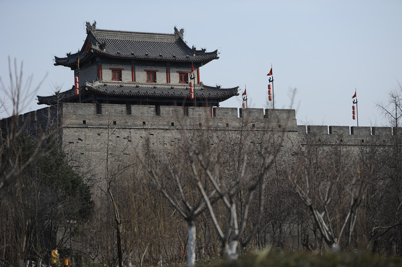 dsc_2737_副本.jpg