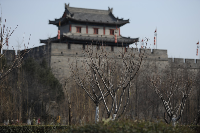 dsc_2738_副本.jpg