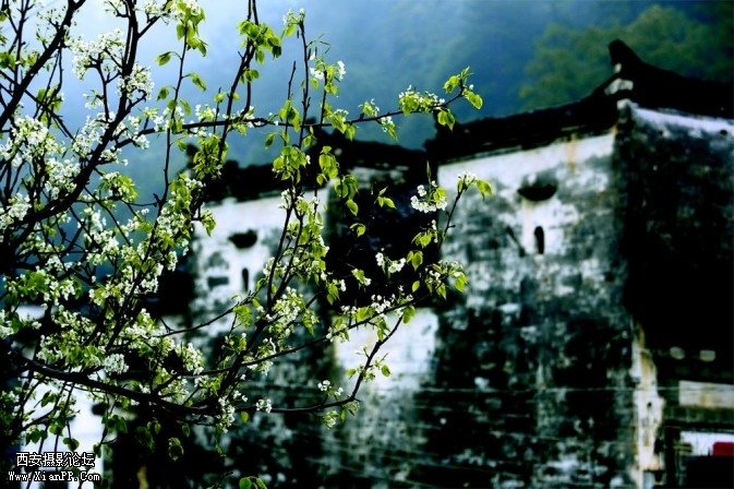 wuyuan01-673x448.jpg