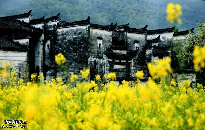 wuyuan07-673x428.jpg