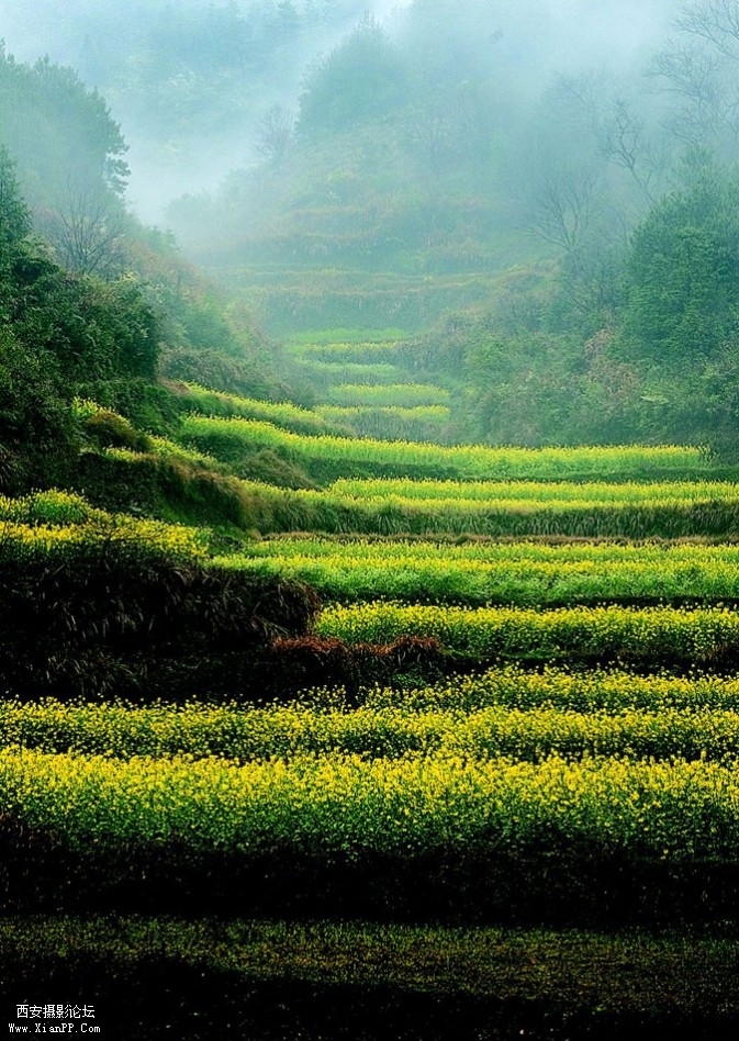 wuyuan05-673x948.jpg