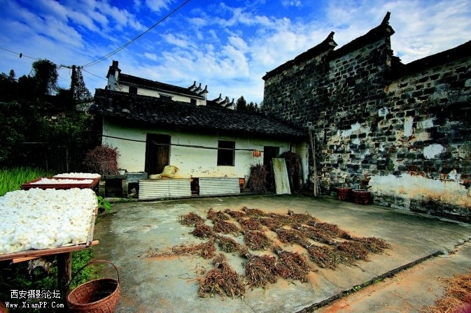 wuyuan08-673x448.jpg