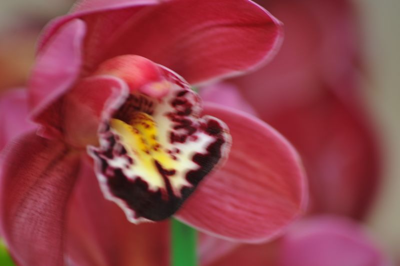 照片 62608.jpg