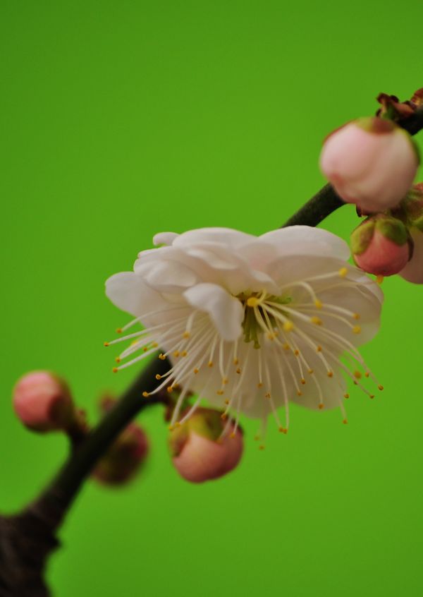 照片 60908.jpg