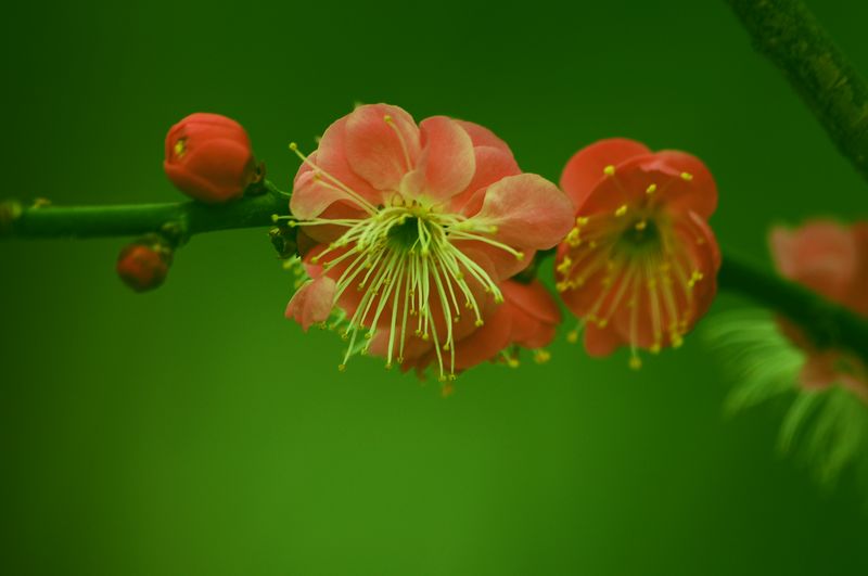 照片 10309.jpg