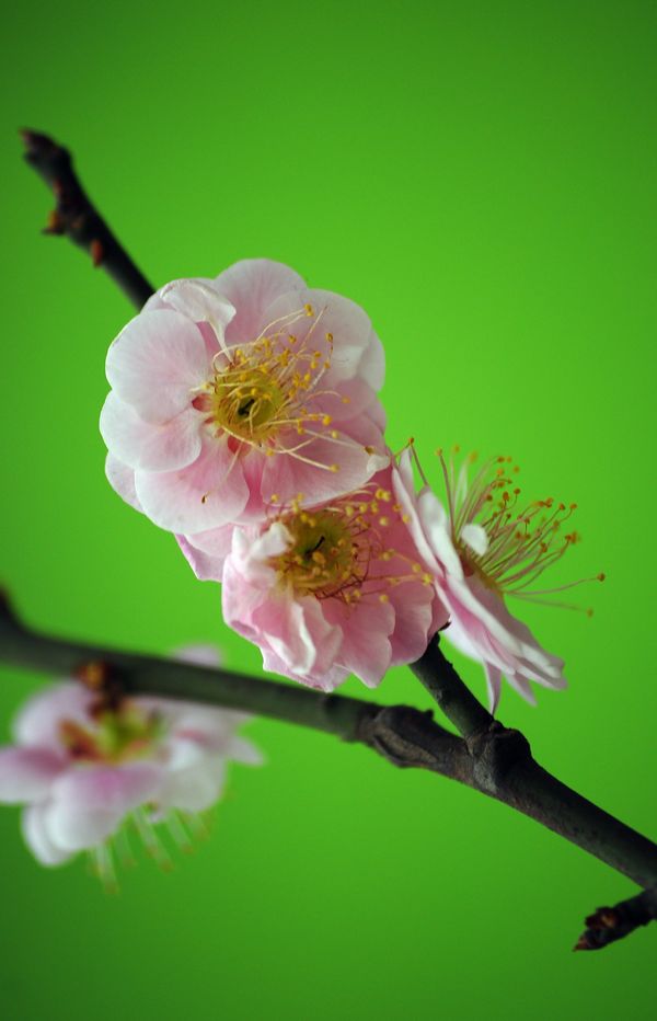 照片 12009.jpg