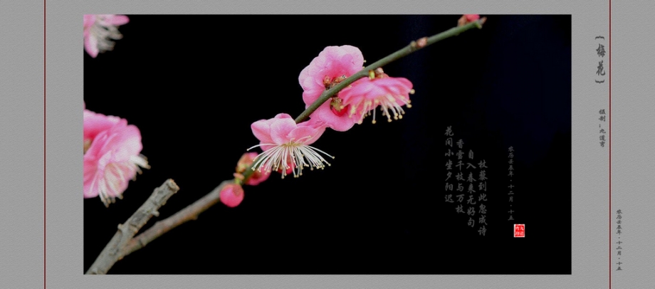 DSC_0078_conew1.jpg