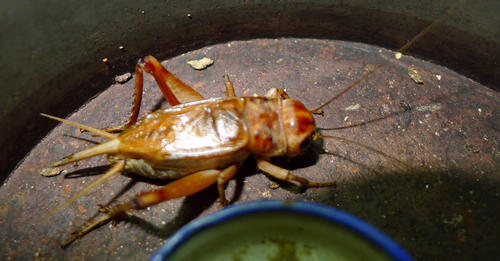 P1000490.JPG