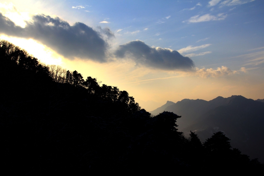 IMG_5559.jpg