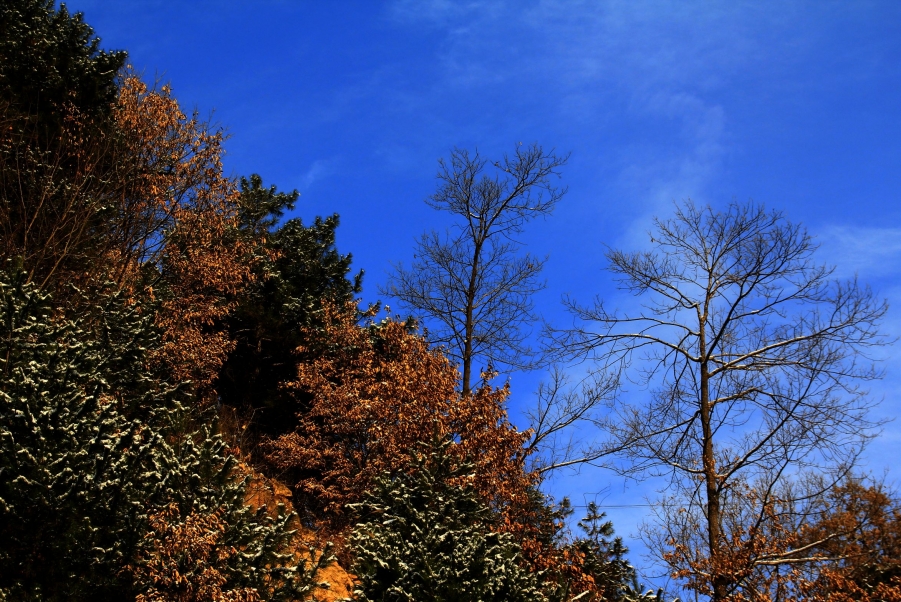 IMG_5551.jpg