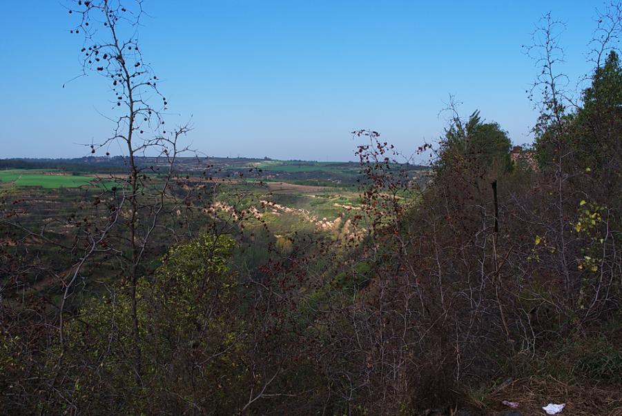 L1000781.png
