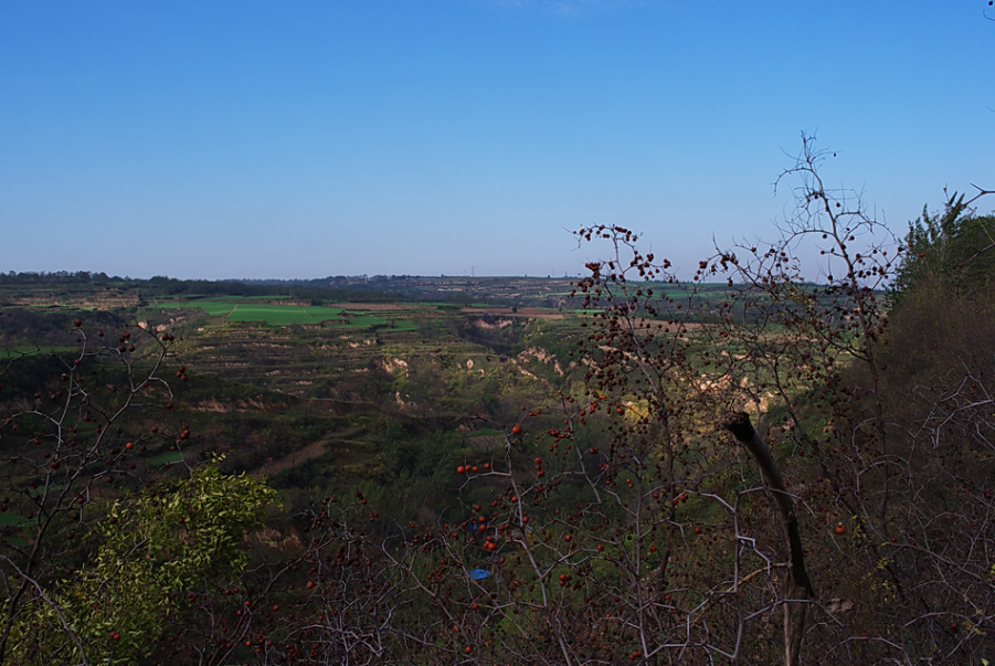 L1000782.png