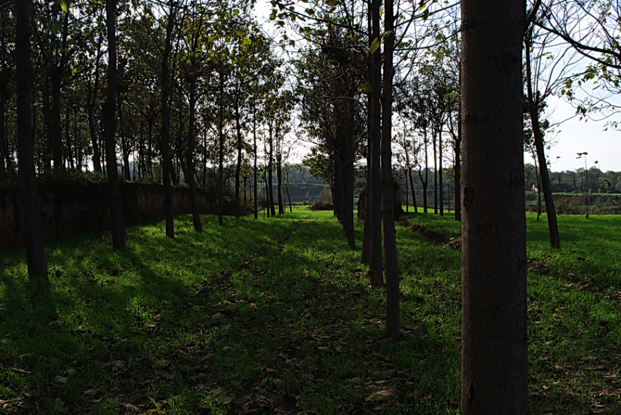 L1000788.png