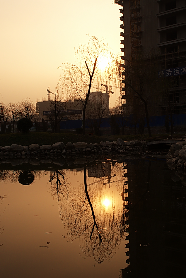 L1000974.png