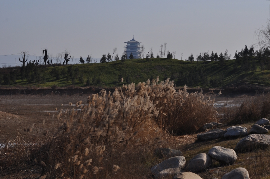 DSC_0471.jpg
