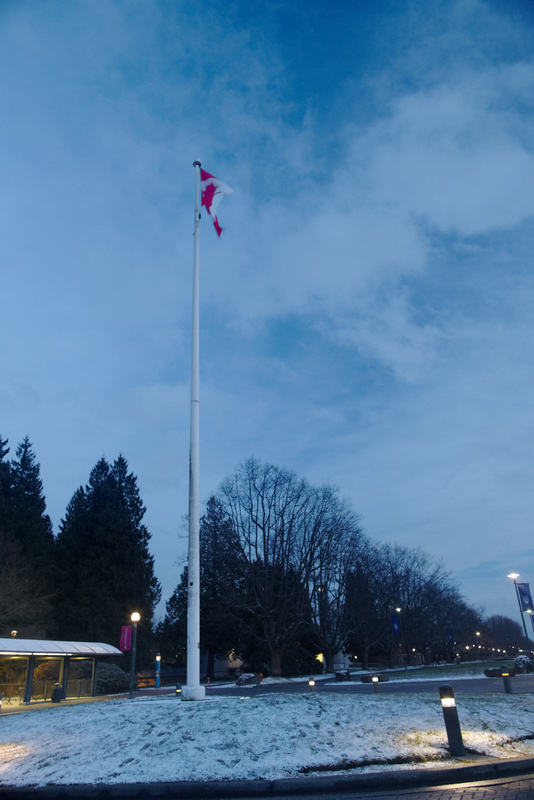 [Snowy day, Vancouver] 5.jpg