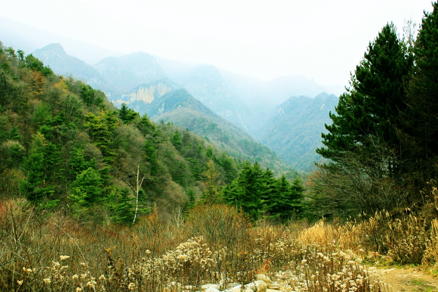 秦岭2.jpg