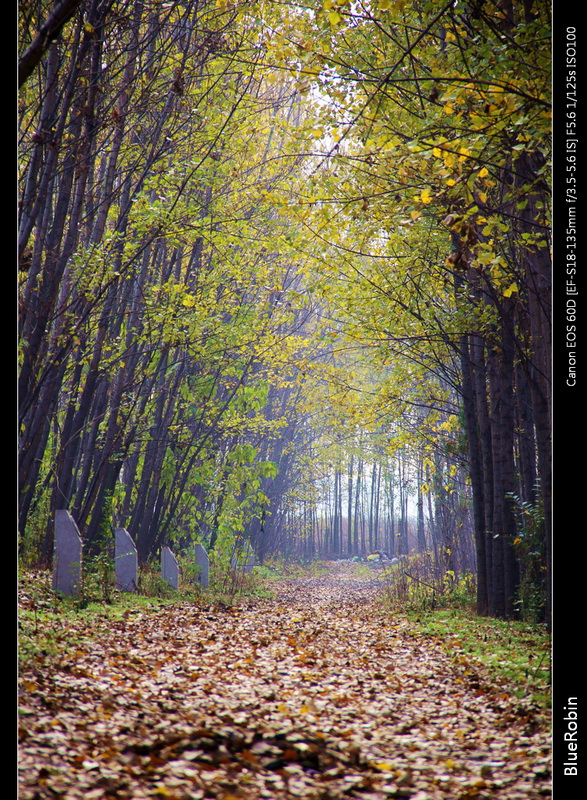IMG_0457GS.jpg