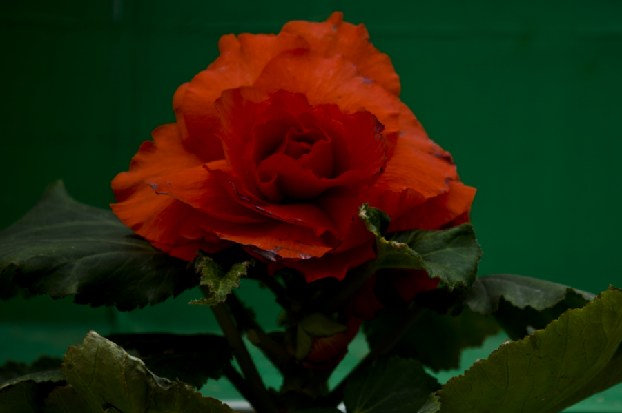 DSC_3434_调整大小.png