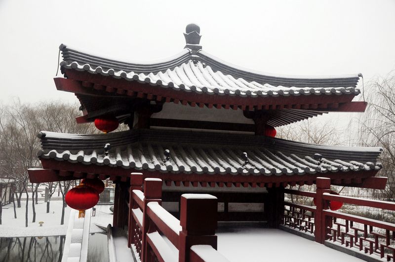 照片 10012.jpg
