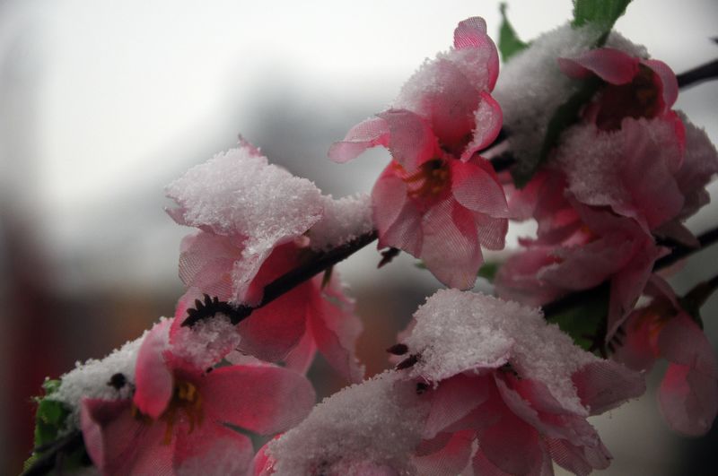 照片 09012.jpg