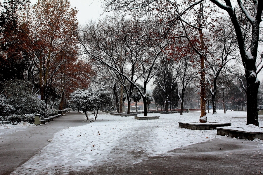 DPP_0002.JPG