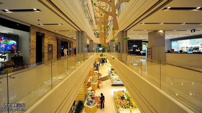 DSC_1409-c.jpg
