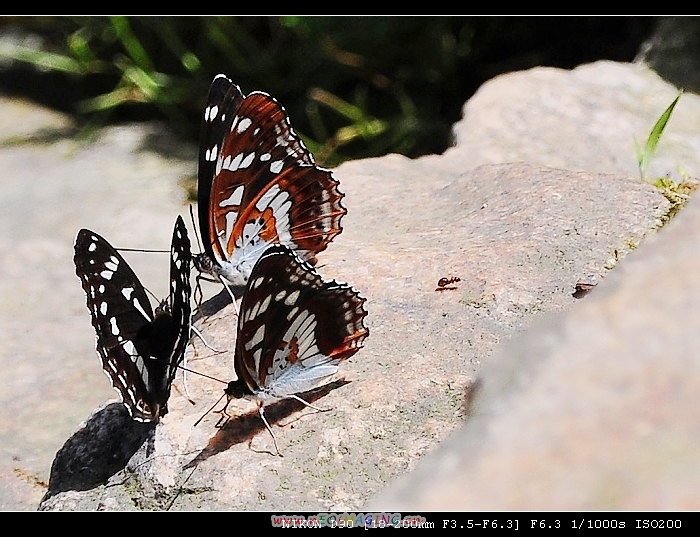 DSC_0623.jpg