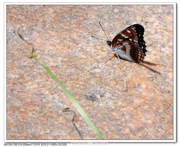 DSC_0647.jpg