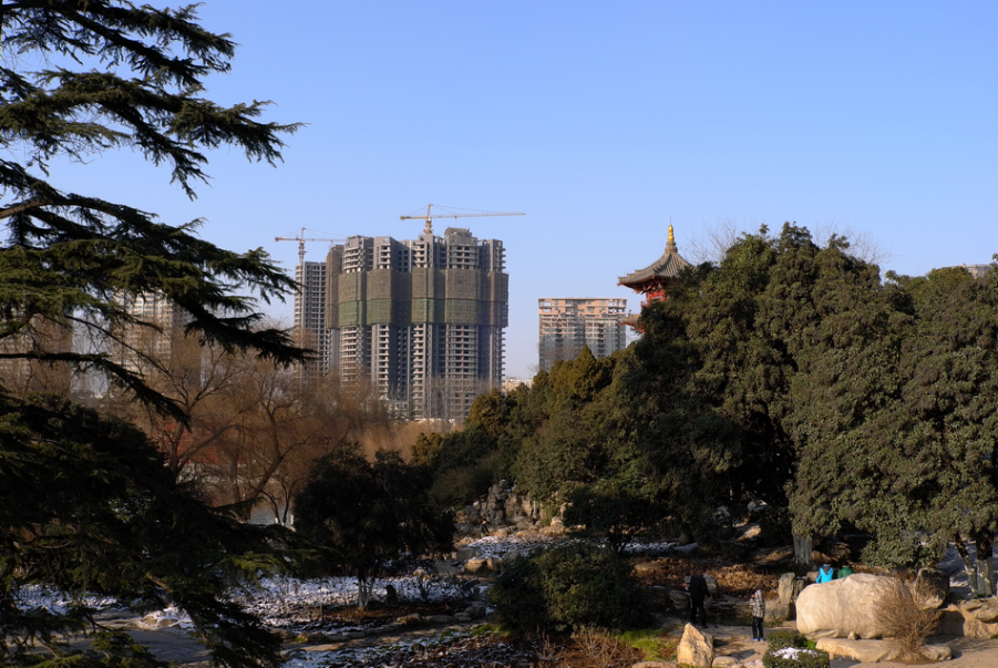 L1001211_调整大小.png