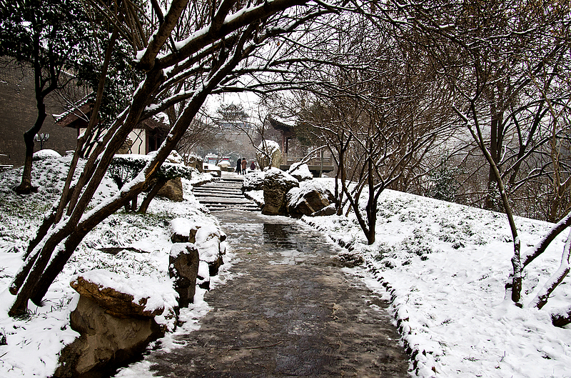 _IGP0861.jpg