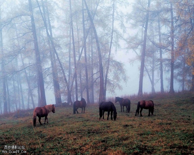 080468-71-9-673x539.jpg