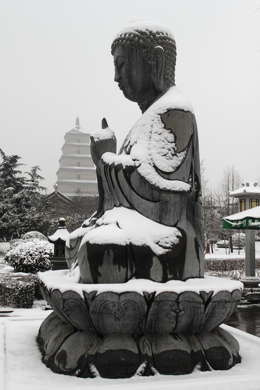 107.jpg