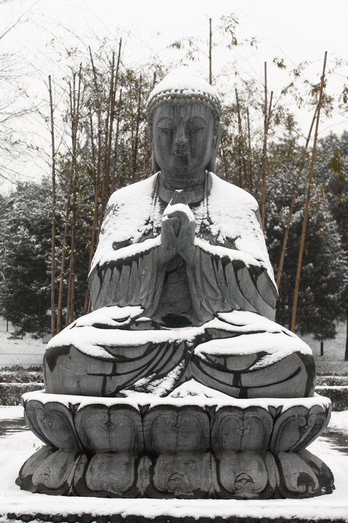 110.jpg