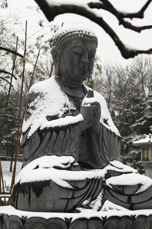 111.jpg