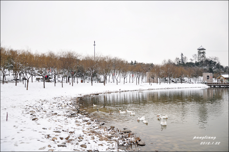 DSC_0034.jpg
