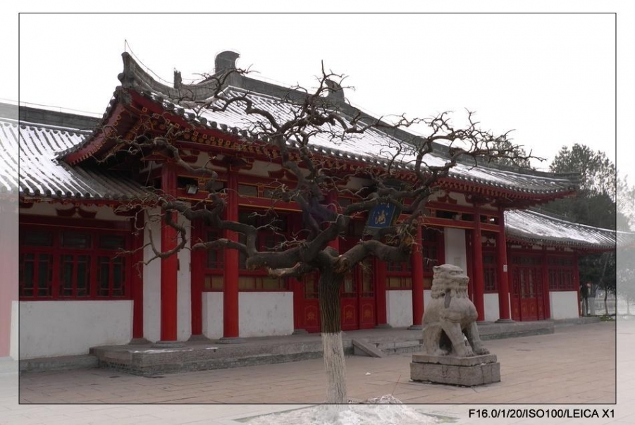 L1001248_调整大小.JPG