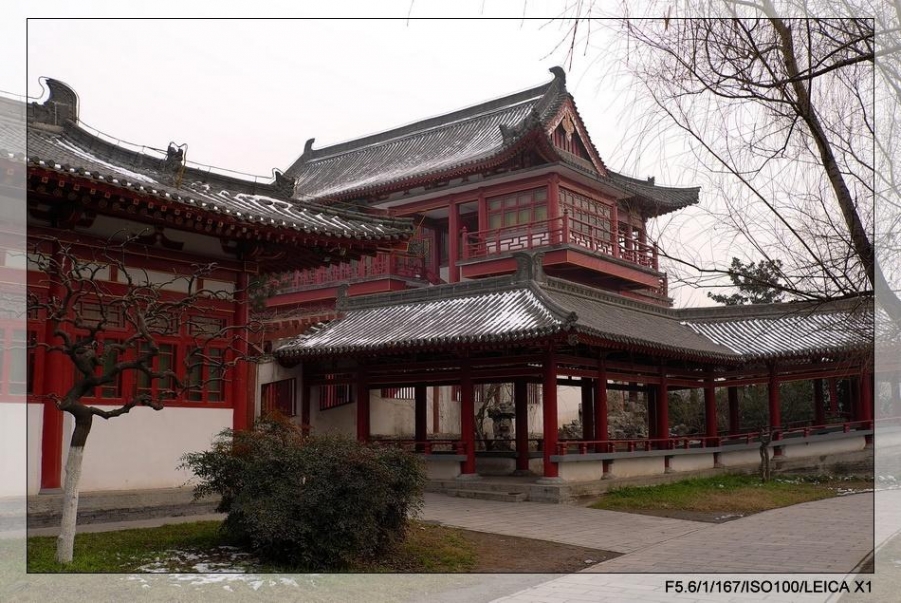 L1001251_调整大小.JPG