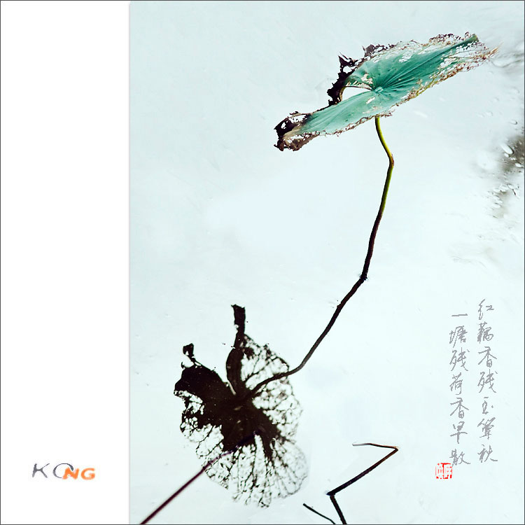 04封面.jpg