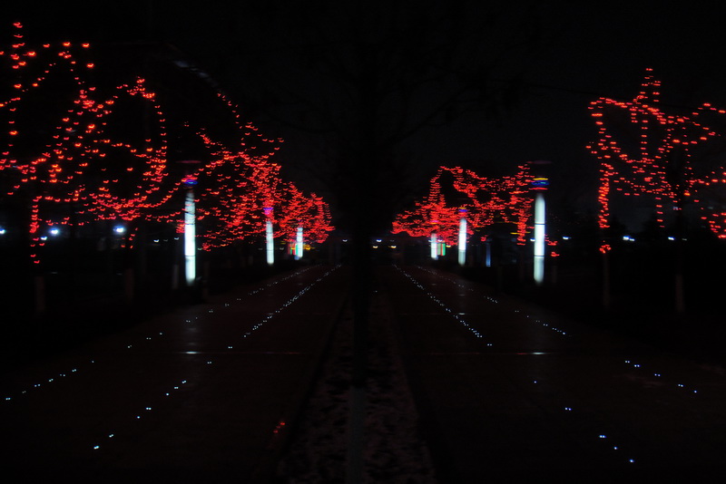 DSC00490.JPG