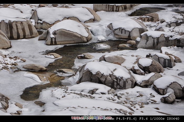 DSC_0647.jpg