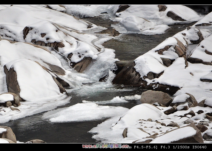 DSC_0651.jpg