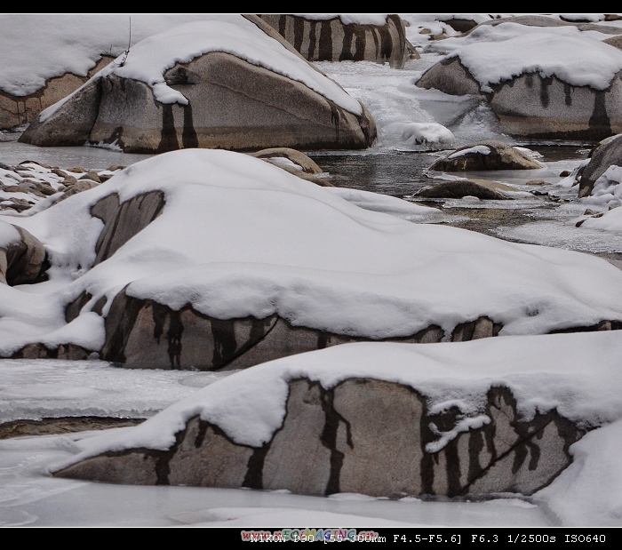 DSC_0682.jpg