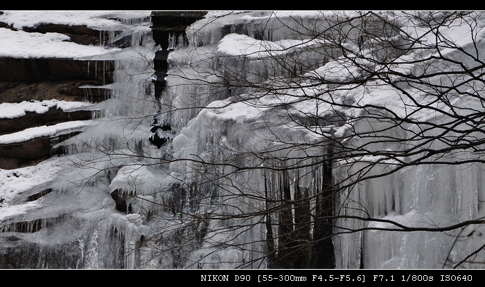 DSC_0627.jpg