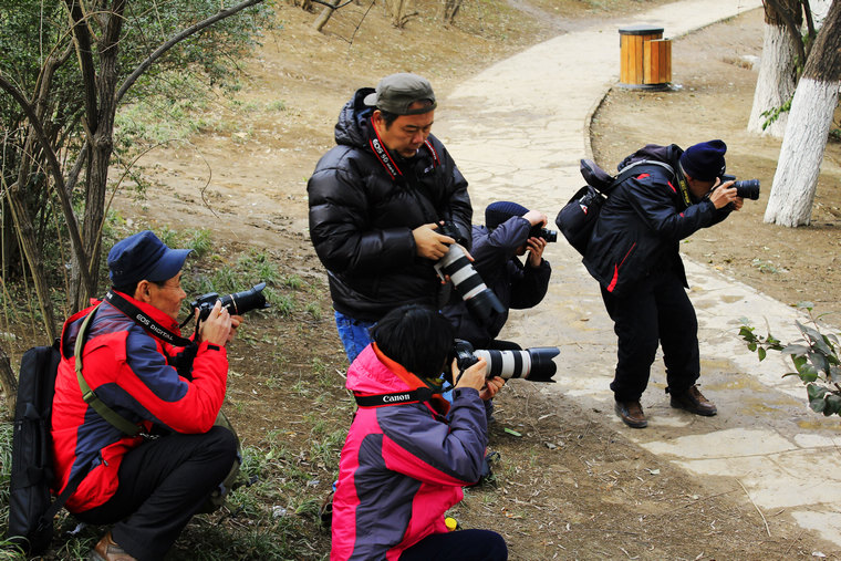 _MG_5441.JPG