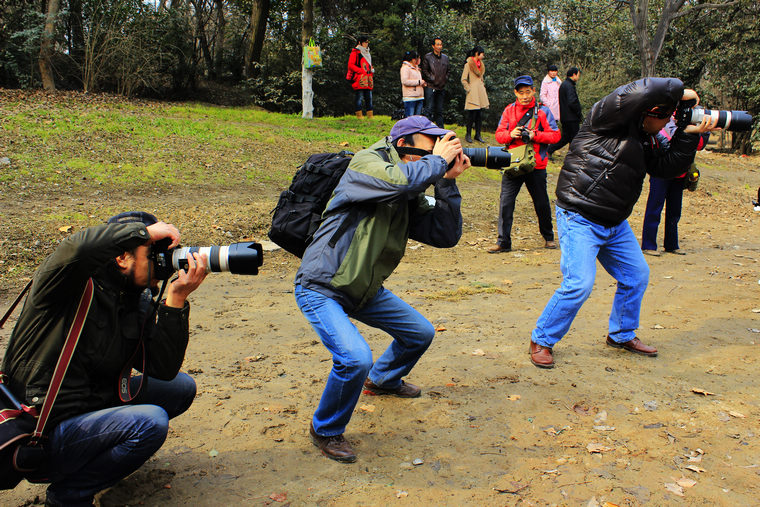 _MG_5452.JPG