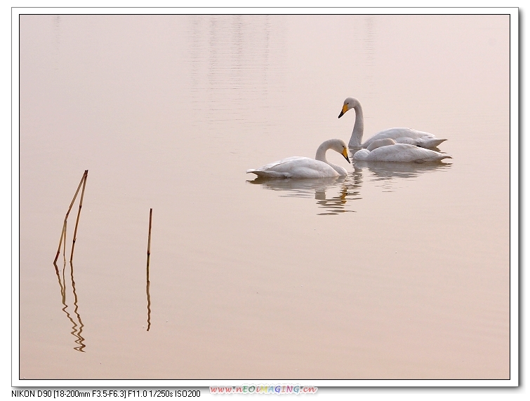 DSC_0443啊.jpg