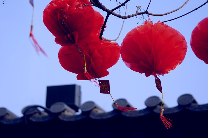 照片 07412.jpg
