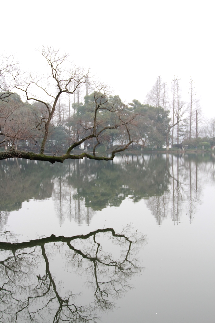 静静的西湖0007.JPG